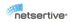 Netsertive logo