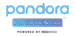 Pandora For Business logo