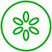Pickle logo
