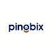 Pingbix logo