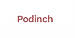 Podinch logo