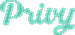 Privy logo