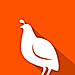 Quail logo