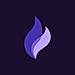 Qualflare logo