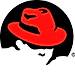 Red Hat Gluster Server (formerly Storage Server) logo