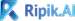 Ripik Vision AI logo