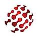 SANeForce logo