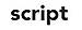 Script logo