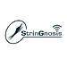 StrinGnosis logo