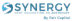 Synergy logo