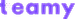 Teamy logo