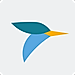 Tern logo