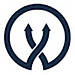 ViceVersa PST Split and Merge Software logo