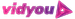 Vidyou logo