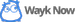 Wayk Now logo