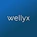 Wellyx Dance logo