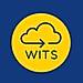 WITS (WInn Item Tracking System) logo