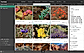 Capterra : Extensis Portfolio screenshot