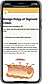 Gradia Health screenshot
