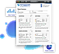 Report - Summary