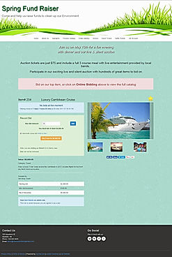 Public website home page example
