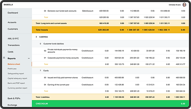 Balance sheet report