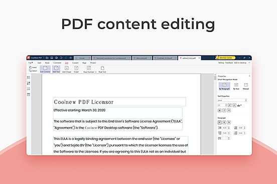PDF Content Editing screenshot