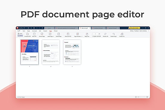 PDF Document Page Editor screenshot