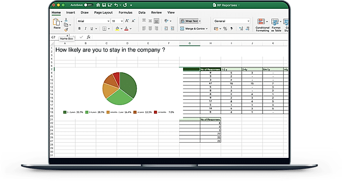Excel Report screenshot