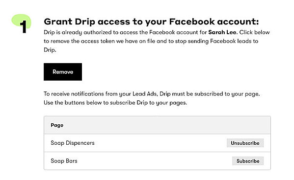 Connect Drip and Facebook Lead Ads