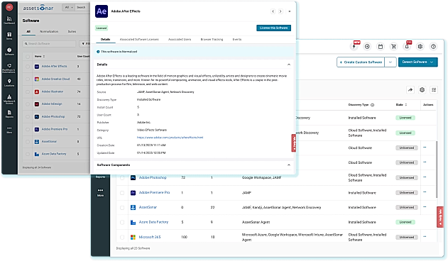 Software Asset Management