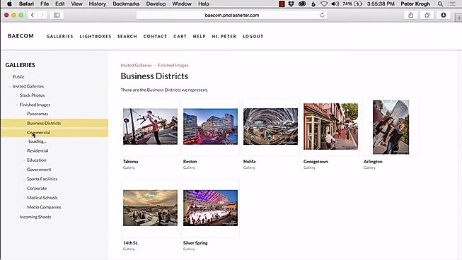 Libris screenshot: Browse images by gallery which can be grouped to the needs of an organization