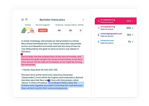Plagiarism Check - Report