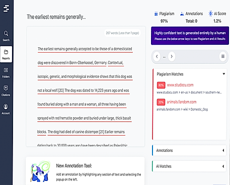 Detect Plagiarism