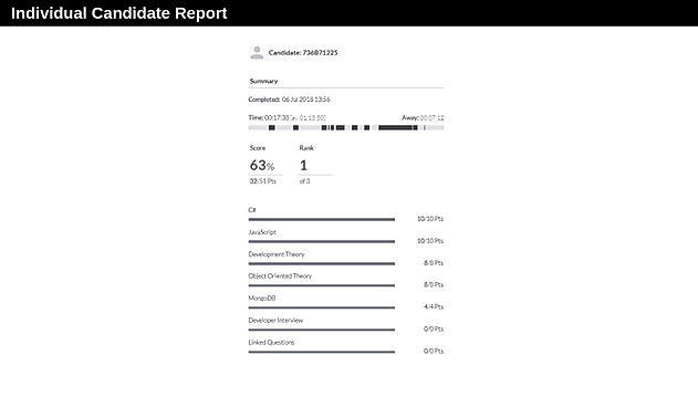 Individual Candidate Report