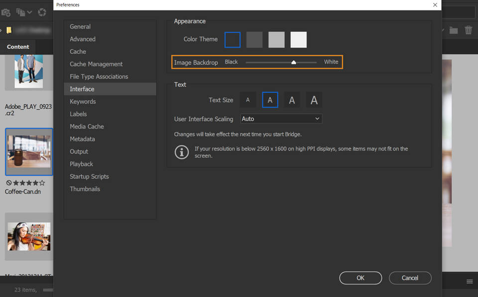 Adobe Bridge Pricing, Reviews and Features (April 2023)