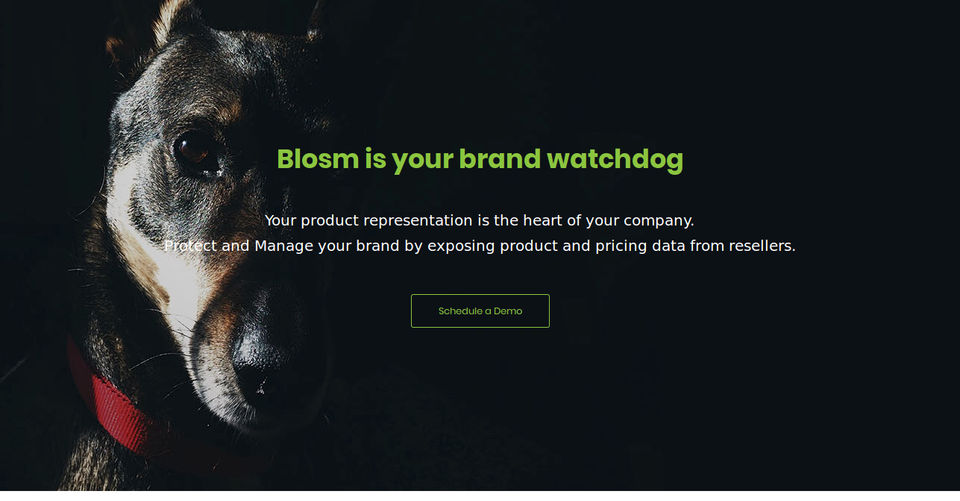 Blosm for Brands Screenshot
