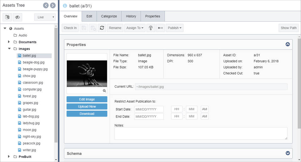 Ingeniux CMS screenshot 1