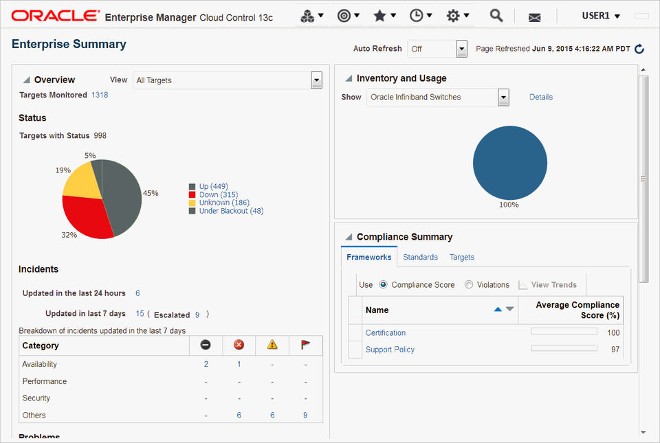 Oracle enterprise manager что это