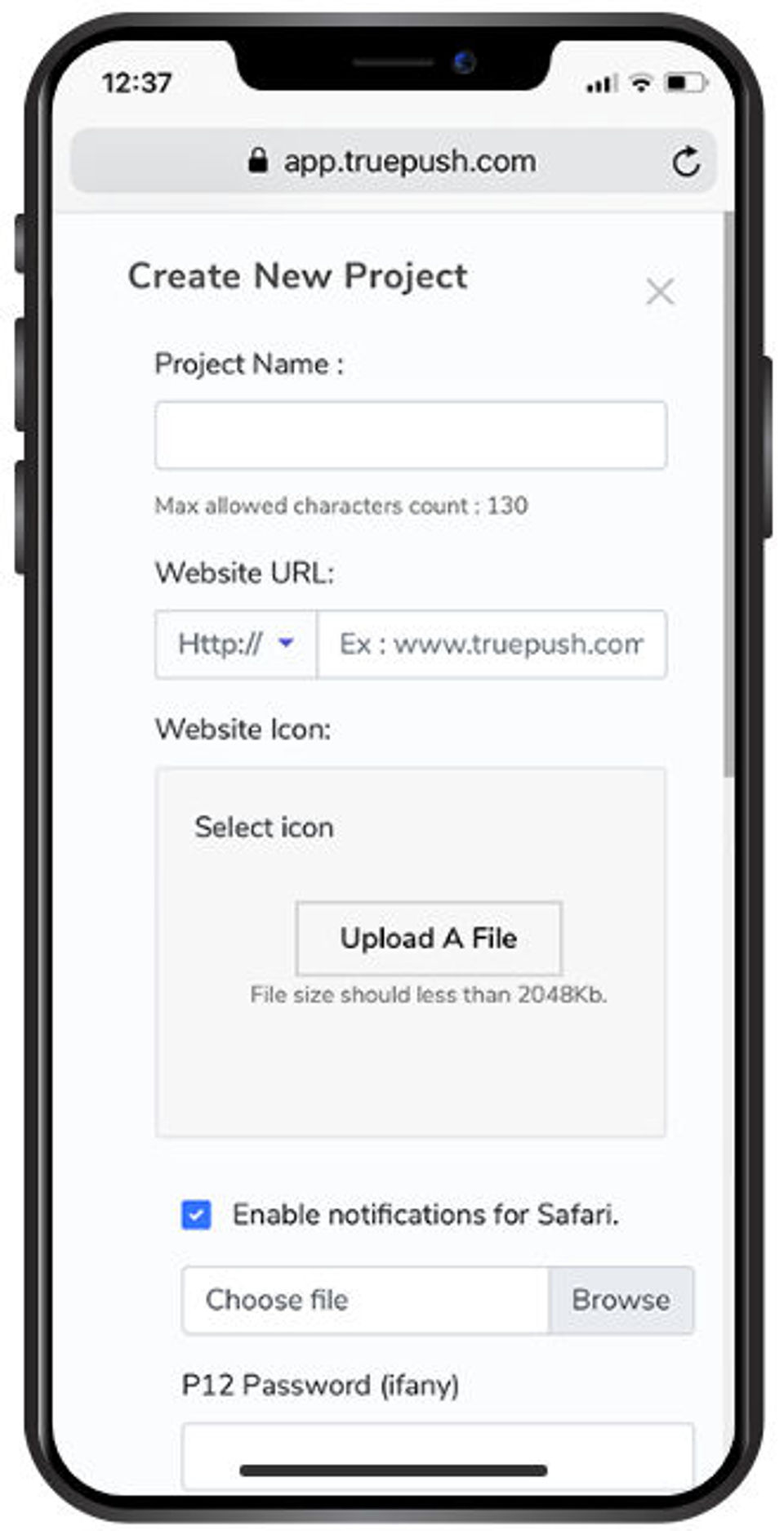 Truepush : Project Deduplication screenshot