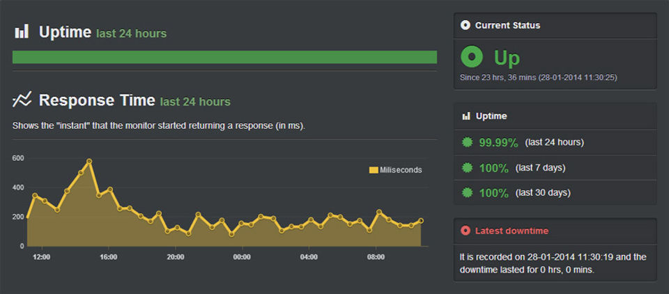 Мониторинг сайта. Uptime status. Uptime 100%. Даунтайма сервиса. Net uptime Monitor.