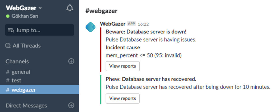 WebGazer screenshot