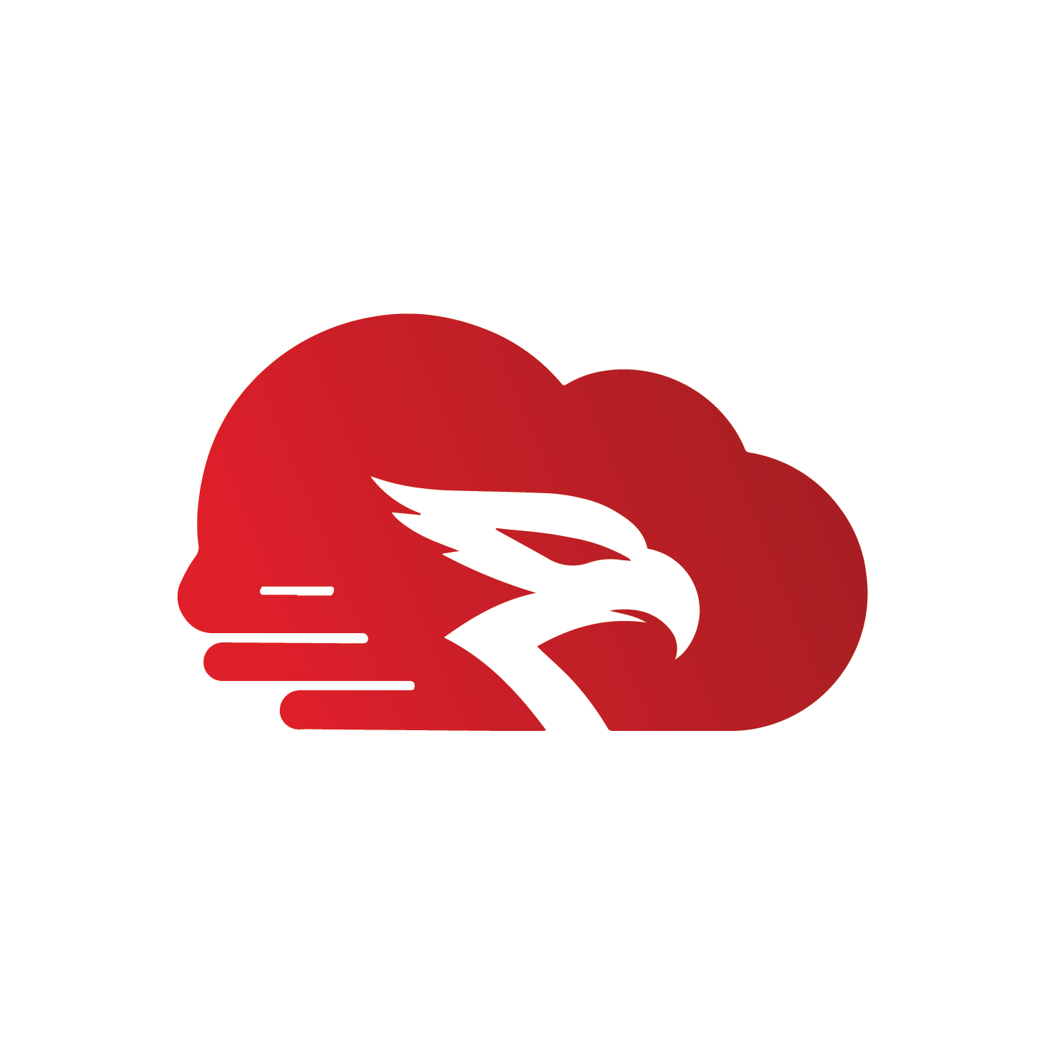 CloudRaptor logo