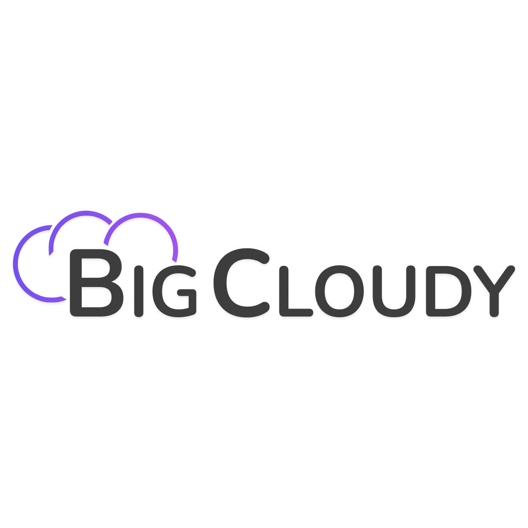 BigCloudy logo
