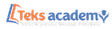 Teks Academy