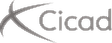 CICAD (Ingérop)