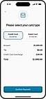 Zero Cost Processing (Dual Pricing, Surcharge, Cash Discounting)