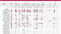 The Stateframe account-product map.