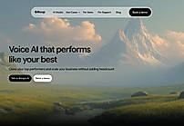 Website homepage
