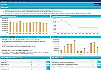 Dashboard: Monitor your loan portfolio and key metrics at a glance.